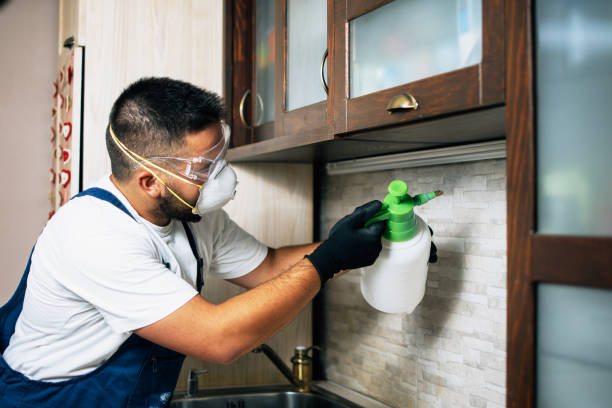 Best Emergency Pest Control  in North Wildwood, NJ