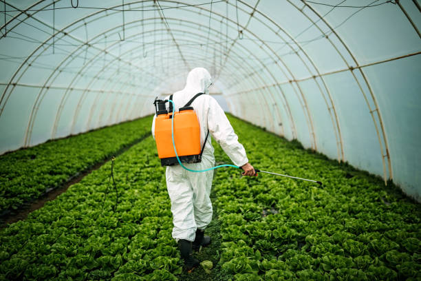Best Local Pest Control Services  in North Wildwood, NJ