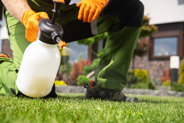Flea Control Services in North Wildwood, NJ
