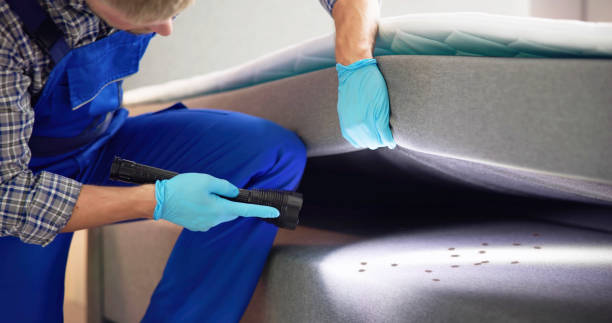 Best Local Pest Control Services  in North Wildwood, NJ